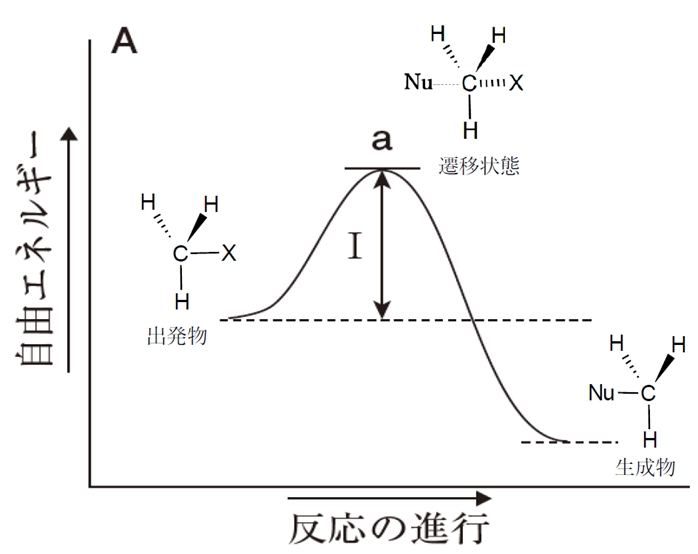 SN1・SN2　エネルギー図，律速段階，遷移状態，立体　105回問103